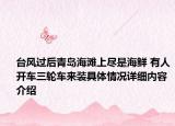 台风过后青岛海滩上尽是海鲜 有人开车三轮车来装具体情况详细内容介绍