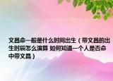 文昌命一般是什么时间出生（带文昌的出生时辰怎么演算 如何知道一个人是否命中带文昌）