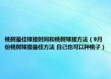桃树最佳嫁接时间和桃树嫁接方法（9月份桃树嫁接最佳方法 自己也可以种桃子）