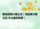 算毛利率计算公式（毛利率计算公式 什么是毛利率）