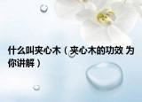 什么叫夹心木（夹心木的功效 为你讲解）