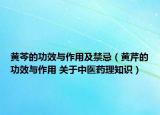 黄芩的功效与作用及禁忌（黄芹的功效与作用 关于中医药理知识）
