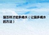 猫怎样才能多喝水（让猫多喝水的方法）