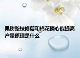 果树整枝修剪和棉花摘心能提高产量原理是什么