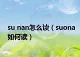 su nan怎么读（suona如何读）