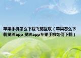苹果手机怎么下载飞鸽互联（苹果怎么下载灵鸽app 灵鸽app苹果手机如何下载）