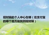 招财猫的个人中心在哪（在支付宝的哪个地方能找到招财猫）