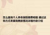 怎么查询个人养老保险缴费明细 通过这些方式来查询具体情况详细内容介绍