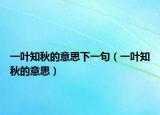 一叶知秋的意思下一句（一叶知秋的意思）