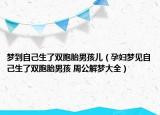 梦到自己生了双胞胎男孩儿（孕妇梦见自己生了双胞胎男孩 周公解梦大全）