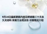 9月16日最新更新内容花呗逾期三十天永久关闭吗 恢复方法有这些 详细情况介绍