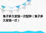 兔子多久发情一次配种（兔子多久发情一次）