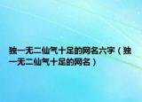 独一无二仙气十足的网名六字（独一无二仙气十足的网名）