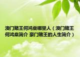 澳门赌王何鸿燊哪里人（澳门赌王何鸿燊简介 豪门赌王的人生简介）