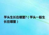 芋头生长在哪里?（芋头一般生长在哪里）