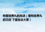 枸菊地黄丸的用途（菊枸地黄丸的功效 下面告诉大家）