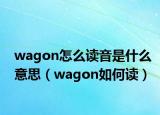 wagon怎么读音是什么意思（wagon如何读）