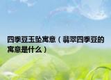 四季豆玉坠寓意（翡翠四季豆的寓意是什么）