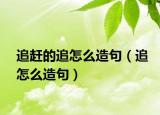 追赶的追怎么造句（追怎么造句）