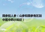 园参和人参（山参和园参有区别 中医中药小知识）
