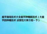 魔芋栽培技术大全魔芋种植新技术（大魔芋的种植技术 这里给大家介绍一下）