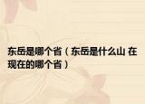 东岳是哪个省（东岳是什么山 在现在的哪个省）