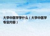 大学中医学学什么（大学中医学专业内容）
