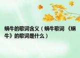 蜗牛的歌词含义（蜗牛歌词 《蜗牛》的歌词是什么）