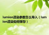 lumion渲染参数怎么导入（lumion渲染如何保存）