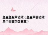 鱼星鱼腥草功效（鱼星草的功效 三个重要功效分享）
