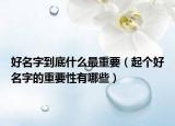 好名字到底什么最重要（起个好名字的重要性有哪些）