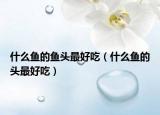 什么鱼的鱼头最好吃（什么鱼的头最好吃）