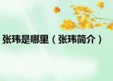 张玮是哪里（张玮简介）