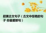 超美古文句子（古文中惊艳的句子 你最爱那句）
