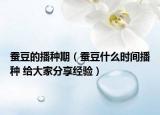 蚕豆的播种期（蚕豆什么时间播种 给大家分享经验）