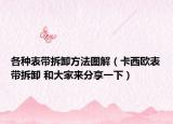 各种表带拆卸方法图解（卡西欧表带拆卸 和大家来分享一下）