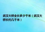 武汉大桥全长多少千米（武汉大桥长约几千米）