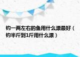 钓一两左右的鱼用什么漂最好（钓半斤到1斤用什么漂）