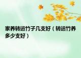 家养转运竹子几支好（转运竹养多少支好）