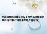 丝瓜栽种怎样能多结瓜（种丝瓜怎样能结果多 每次自己种的瓜总是少的可怜）