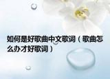 如何是好歌曲中文歌词（歌曲怎么办才好歌词）