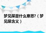 梦见屎是什么意思?（梦见屎含义）