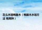 怎么水培鸭脚木（鸭脚木水培方法 有两种）