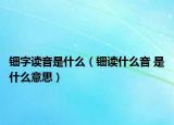 钿字读音是什么（钿读什么音 是什么意思）