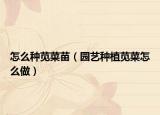 怎么种苋菜苗（园艺种植苋菜怎么做）