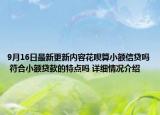 9月16日最新更新内容花呗算小额信贷吗 符合小额贷款的特点吗 详细情况介绍
