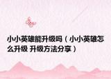 小小英雄能升级吗（小小英雄怎么升级 升级方法分享）
