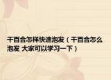 干百合怎样快速泡发（干百合怎么泡发 大家可以学习一下）