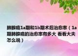 肺腺癌1a期和1b期术后治愈率（1a期肺腺癌的治愈率有多大 看看大夫怎么说）