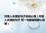 对情人失望的句子说说心情（对情人失望的句子 每一句都痛到撕心裂肺）